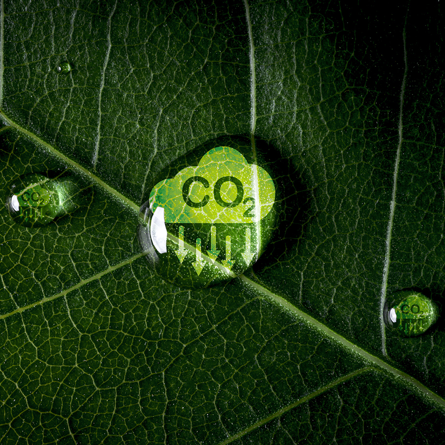 Environmental Responsibility in the Vinyl Industry